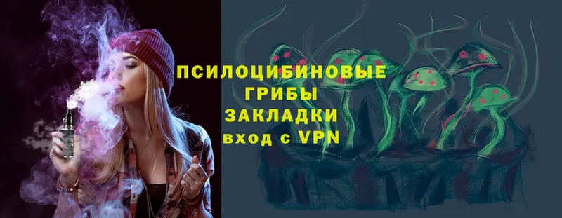 Галлюциногенные грибы Psilocybe  цена   Апатиты 